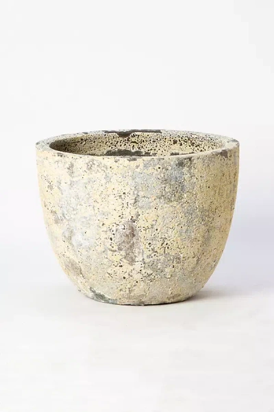 Terrain Barnacle Low Egg Pot