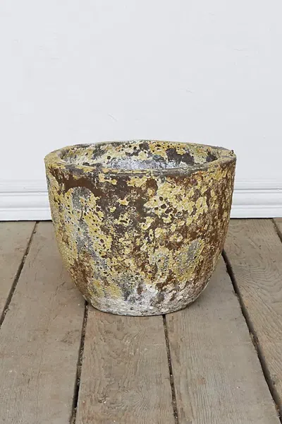 Terrain Barnacle Low Egg Pot In Multicolor