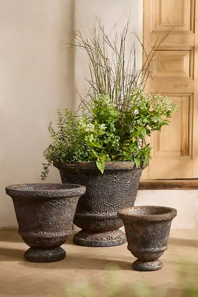 Terrain Barnacle Mars Aeros Urn In Brown