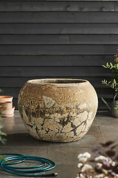 Terrain Barnacle Olla Pot In Neutral