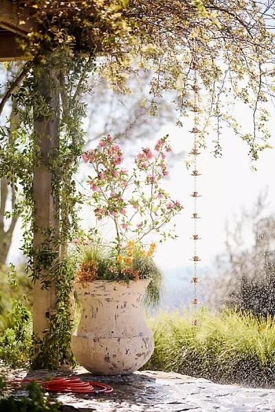 Terrain Barnacle Pluto Planter