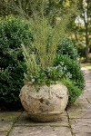 Terrain Barnacle Potpourri Planter In Brown