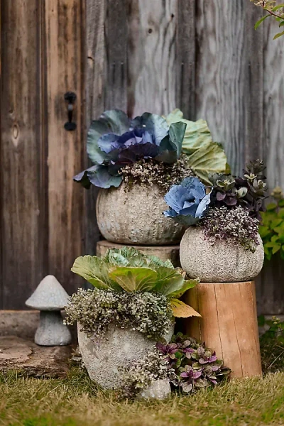 Terrain Barnacle Pumpkin Planter In Brown