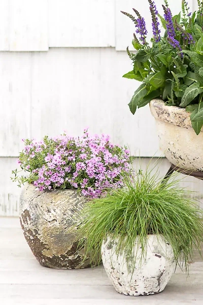 Terrain Barnacle Round Shoulder Pot In Beige