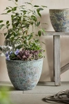 Terrain Barnacle Rounded Egg Planter