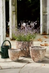 Terrain Barnacle Rounded Egg Planter
