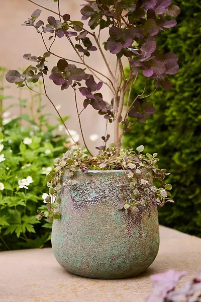 Terrain Barnacle Tall Droplet Planter In Green