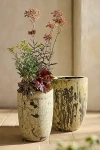 Terrain Barnacle Tapered Base Planter