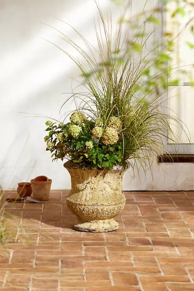 Terrain Barnacle Thistle Urn In Green