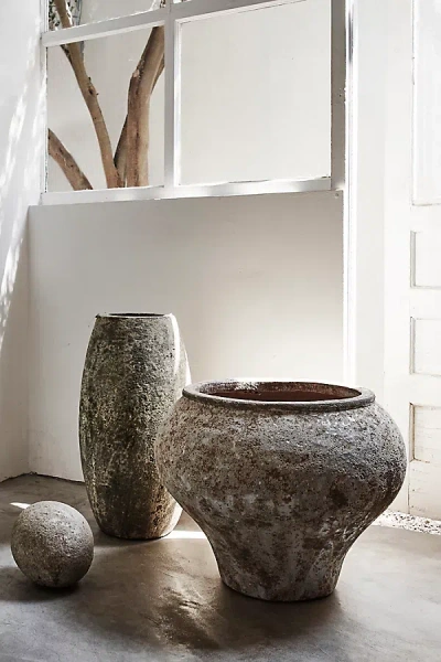 Terrain Barnacle Vase Planter, Dark Neutral