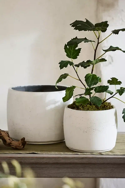 Terrain Barrel Cement Planter In Green