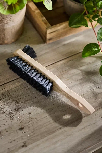 Terrain Beechwood Boot Brush In Neutral