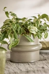 Terrain Belted Clay Pot In Neutral