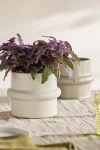 Terrain Belted Clay Pot In White