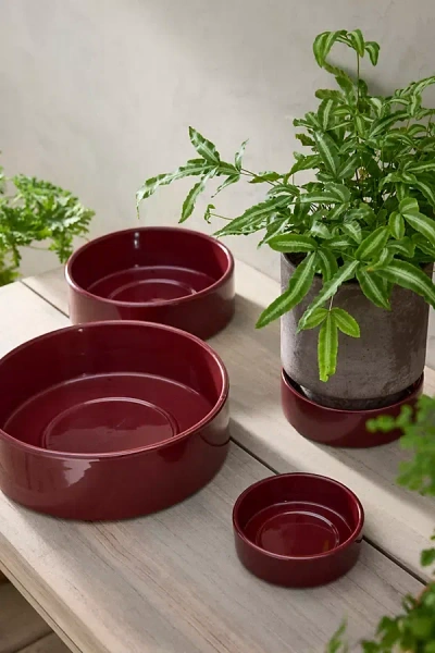 Terrain Bergs Hoff Glazed Terracotta Saucer In Brown