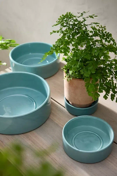 Terrain Bergs Hoff Glazed Terracotta Saucer In Green