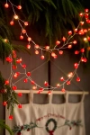 Terrain Berry String Lights In Red