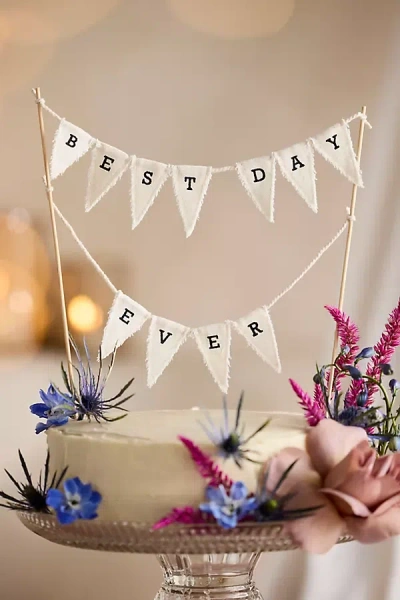 Terrain Best Day Ever Pennant Cake Topper In Multi