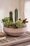 Terrain Beveled Cement Bowl Planter
