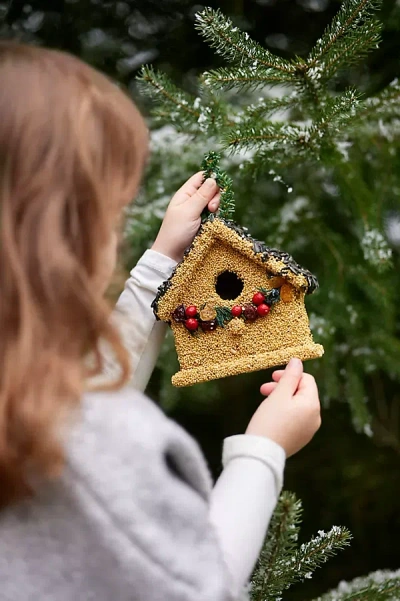 Terrain Bird Seed Cottage In Multi