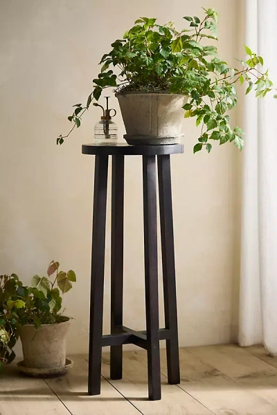 Terrain Black Acacia Wood Plant Stand In Brown