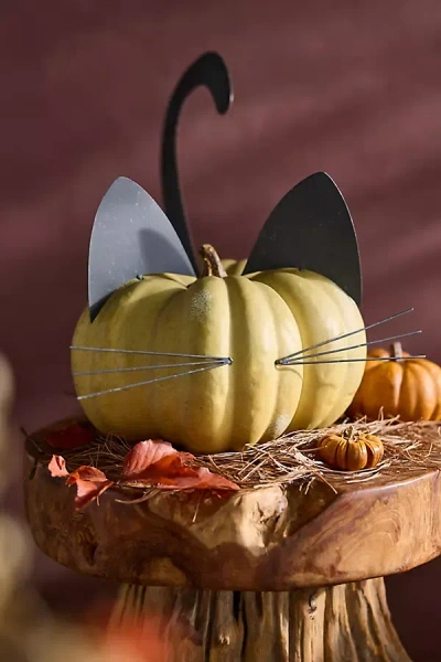 Terrain Black Cat Pumpkin Stake Set