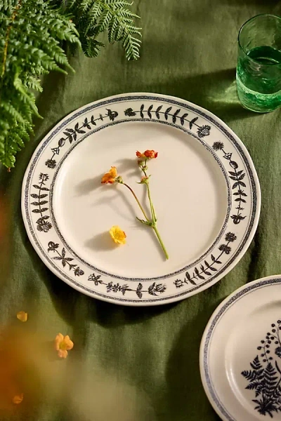 Terrain Black Fern Stoneware Dinner Plate In White