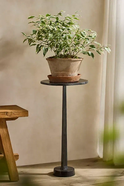 Terrain Black Pedestal Plant Stand
