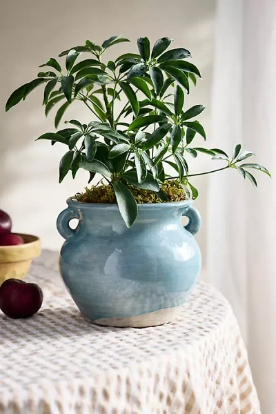 Terrain Blue Terracotta Double Handle Jar