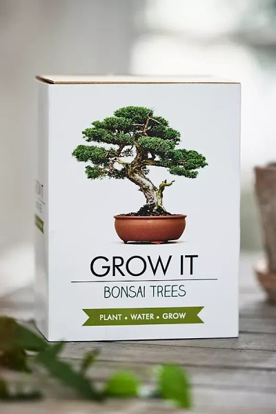 Terrain Bonsai Trees Grow Kit In White