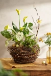 Terrain Botanical Nest Basket