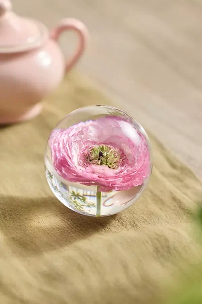 Terrain Botanical Resin Paperweight