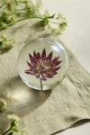 Terrain Botanical Resin Paperweight In Purple