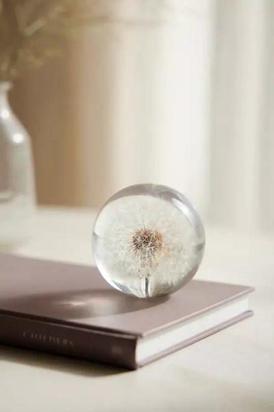 Terrain Botanical Resin Paperweight