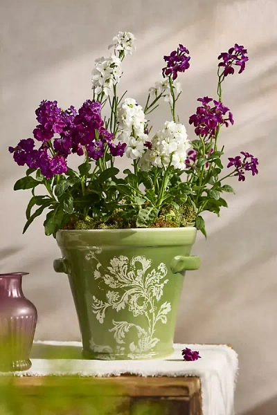 Terrain Botanical Silhouette Taper Planter In Multi