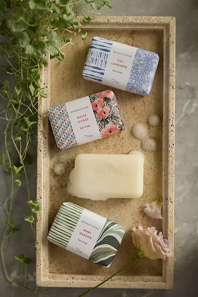 Terrain Botaniculture Bar Soap Discovery Set In Multicolor