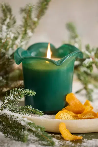 Terrain Botaniculture Evergreen Forest Candle In Green