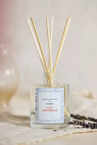 Terrain Botaniculture Reed Diffuser In Black