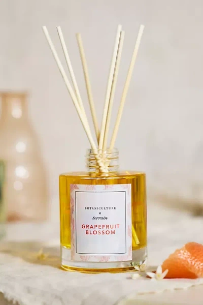 Terrain Botaniculture Reed Diffuser In Brown