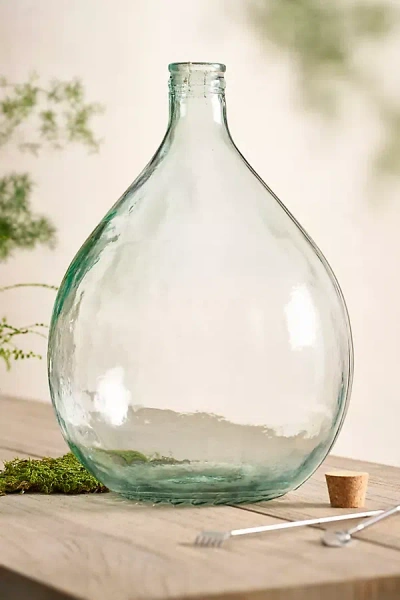 Terrain Bottle Garden Terrarium Kit, 15l