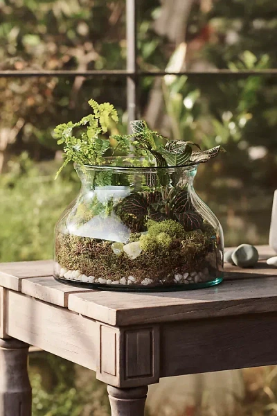 Terrain Bowl Recycled Glass Terrarium In Green