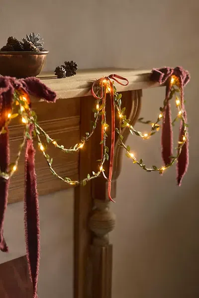 Terrain Boxwood Led Light Strand In Multi