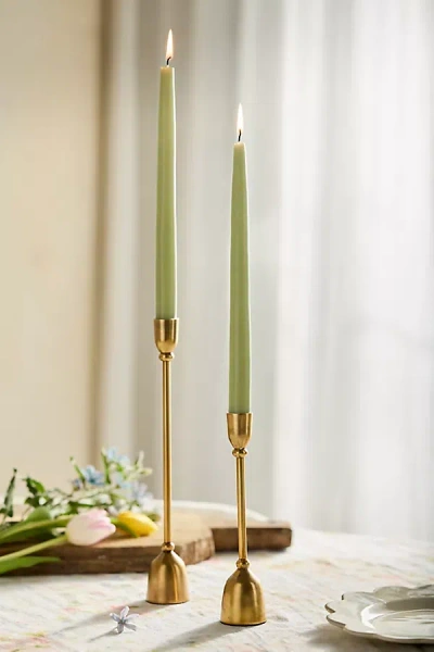 Terrain Brass Bell Taper Holder