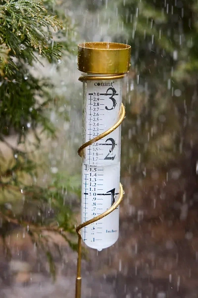 Terrain Brass Rain Gauge In Gold