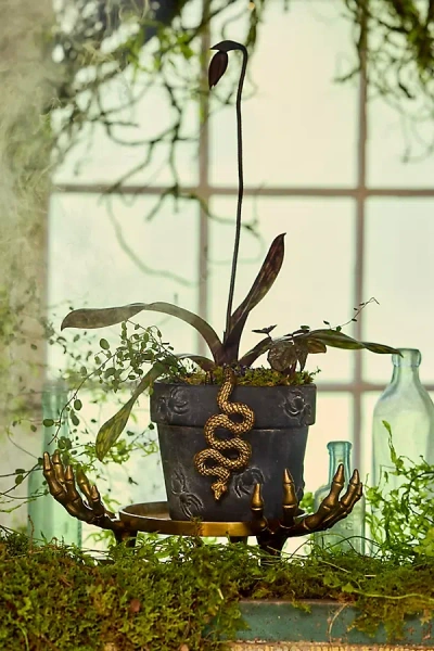 Terrain Brass Skeleton Hand Plant Stand In Multi