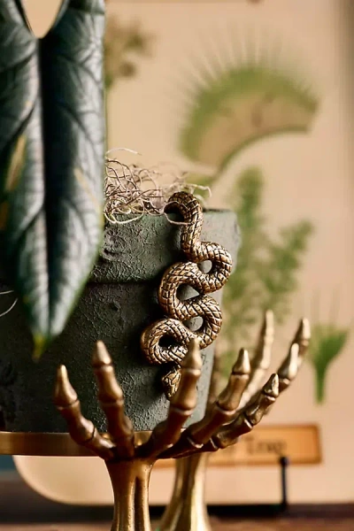Terrain Brass Snake Pot Hanger