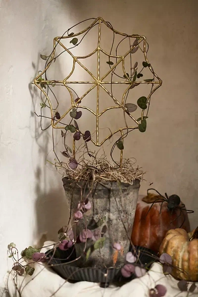 Terrain Brass Spiderweb Trellis In Gold