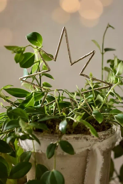 Terrain Brass Star Stake In Gold