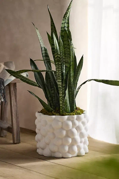 Terrain Bubbles Ceramic Cylinder Planter