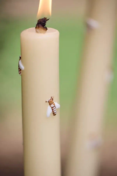 Terrain Bug Citronella Torch Candle